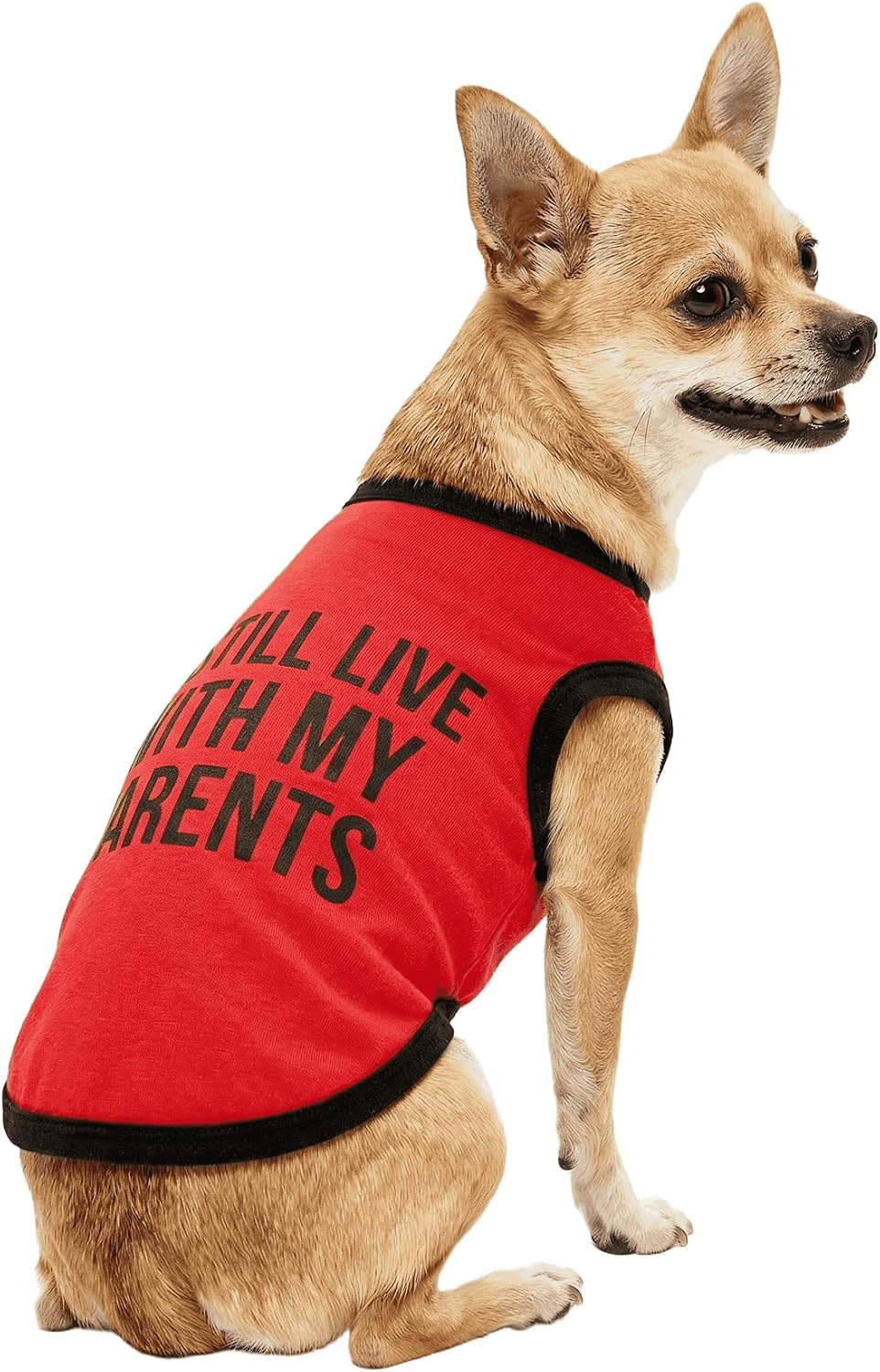Detalle de Small Dog T-Shirt