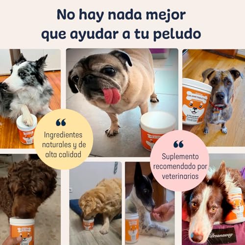 Thumbnail 6 de Droolings Condroprotector para Perros y Antiinflamatorio – 135 masticables, cuidado articular y movilidad