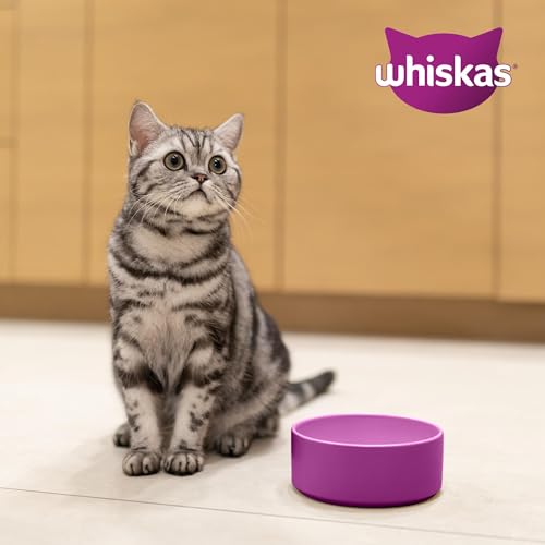 Thumbnail 8 de Whiskas Trockenfutter für ausgewachsene Katzen mit Huhn – 3,8 kg