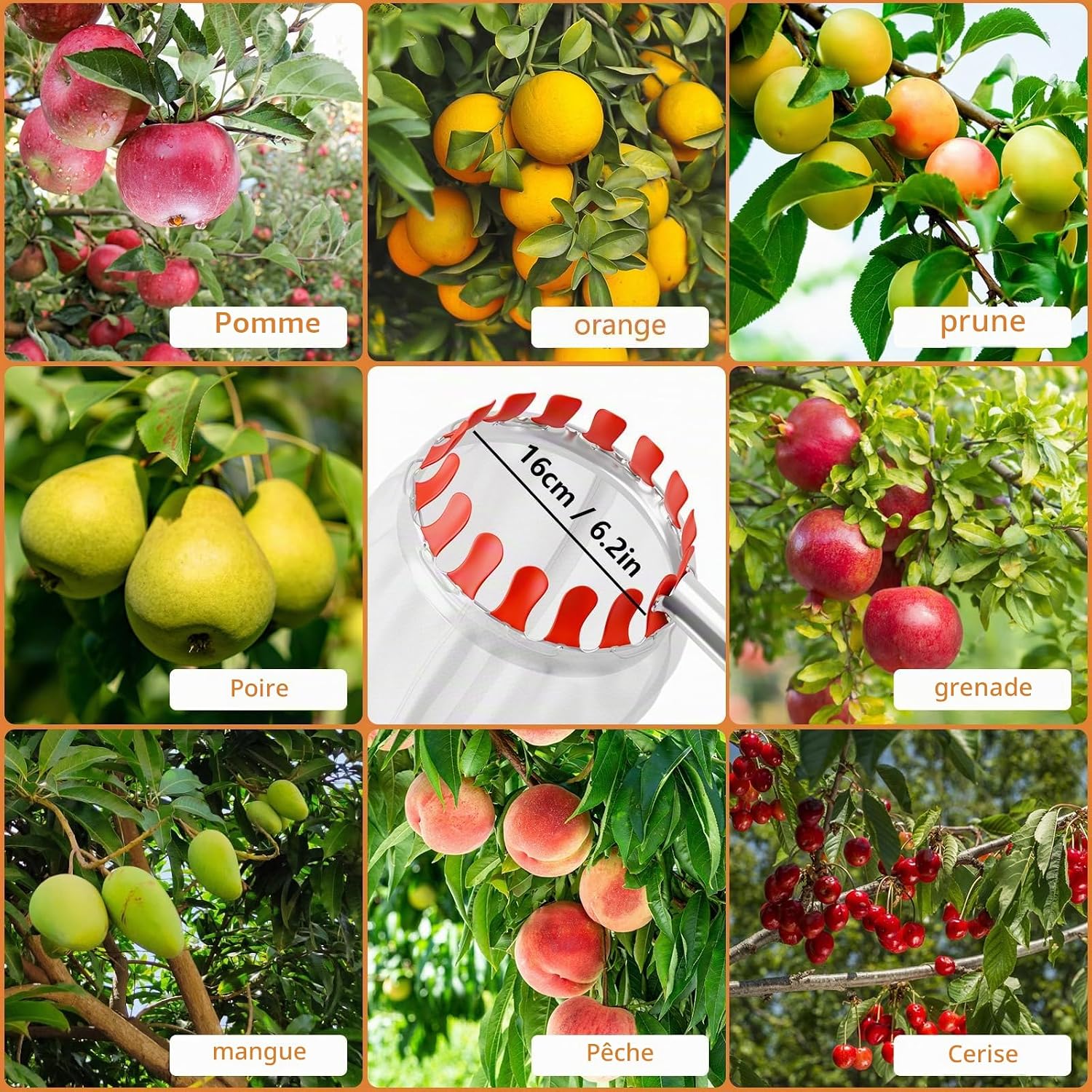 Detalle 1 de Apple Picker telescopische fruitplukker met plukzak van 16 cm en steel tot 4,2 m