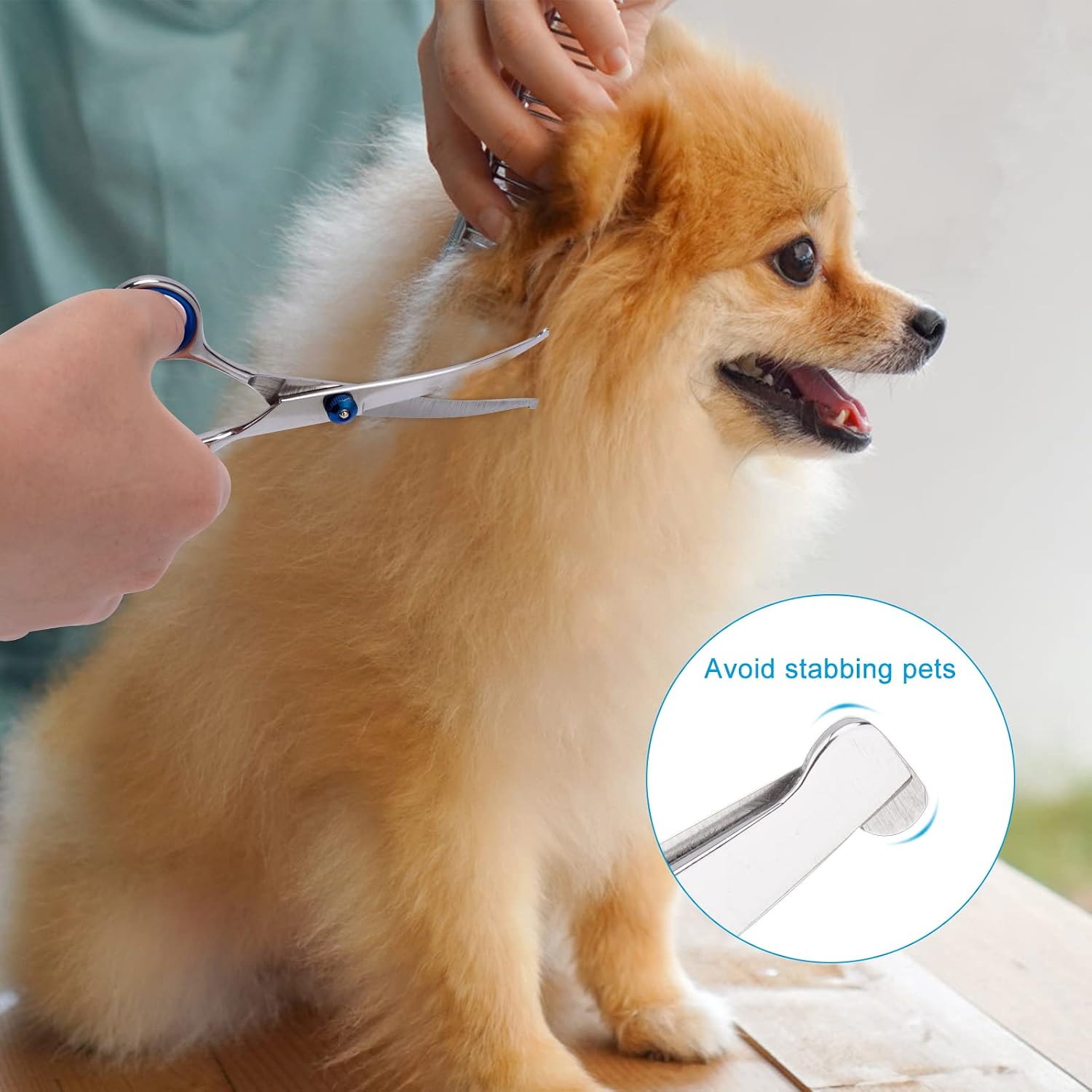 Thumbnail 5 de Dog Grooming Scissors with Safety Round Tip, Pet Dog Cat Curved Grooming Shears Scissors, Stainless Steel Pet Grooming Tools (Silver Down Curved Scissor)
Dog Grooming Scissors with Safety Round Tip, Pet Dog…