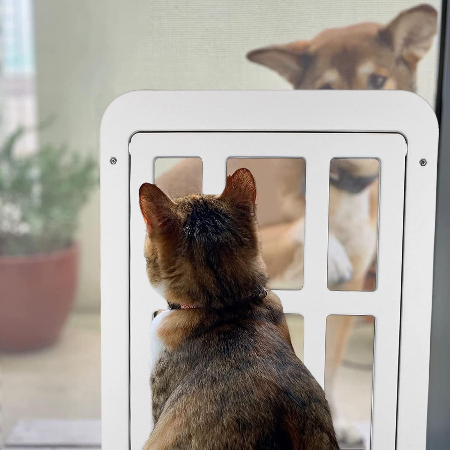 Detalle 2 de LESYPET Cat Screen Door, 10.3 x 8.3 Inches