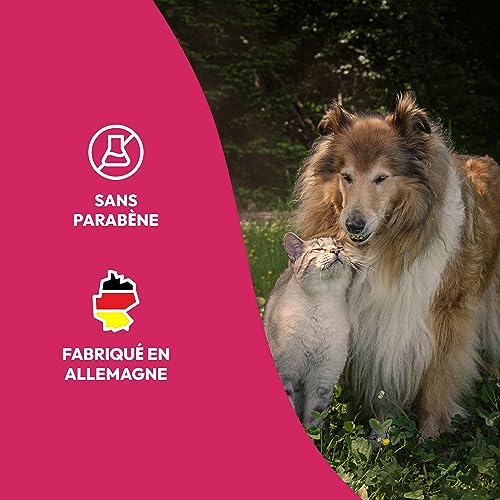 Thumbnail 6 de Petsly Spray Anti Puces Chat & Chien -500 ml - Non Tachant, Action Rapide