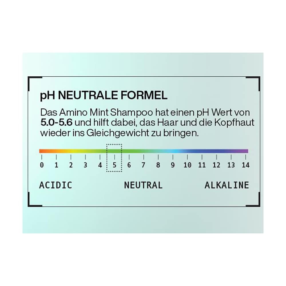 Thumbnail 4 de Amino Mint Shampoo von Redken für fettige und gereizte Kopfhaut, pH-ausgleichend – 300 ml