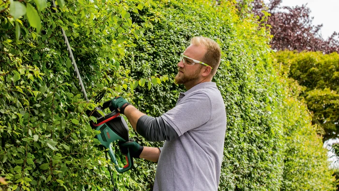 Detalle de Bosch AdvancedHedgeCut 70 – leistungsstarke Elektro-Heckenschere für mittelgroße bis große Hecken