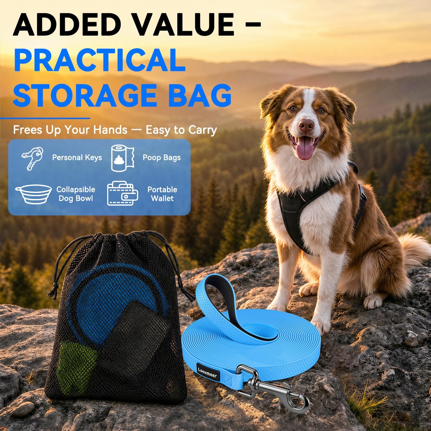 Detalle de Looxmeer Training Lead for Dogs 5m/16ft: Extra‑Long, Waterproof Training Lead with Padded Handle