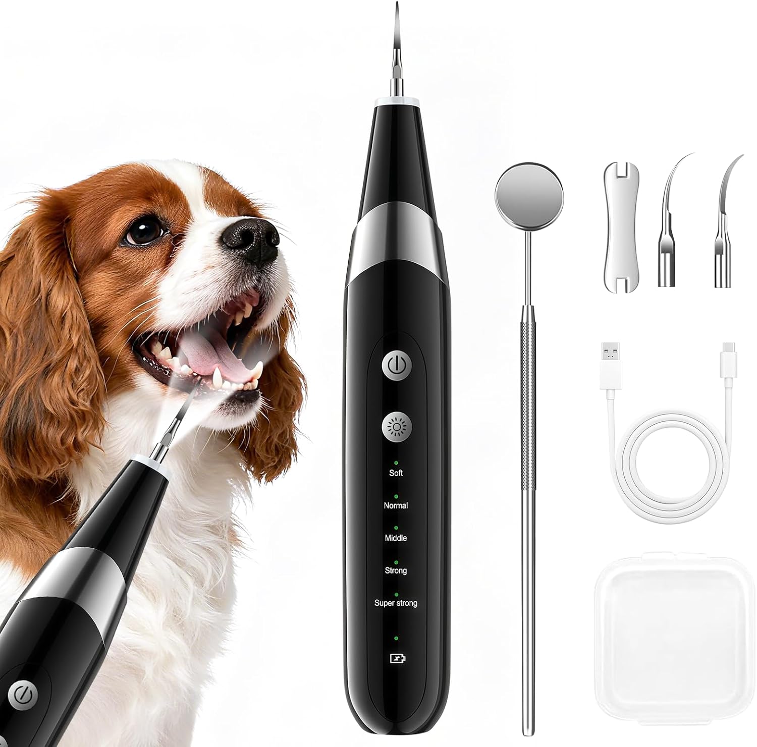 InFanso PR400 ultrasonic plaque remover 5-mode for pets