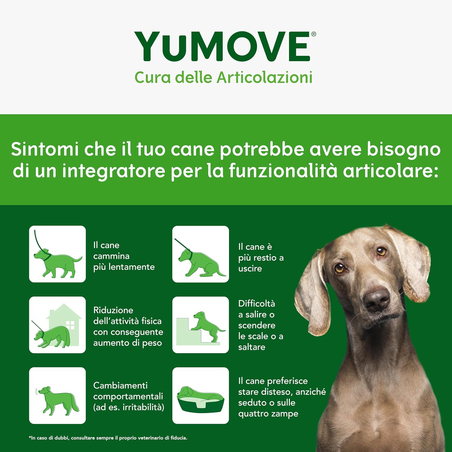 Detalle de YuMOVE Joint Care Cani 5-8 anni – 30 bocconcini tripla azione ActivEase
