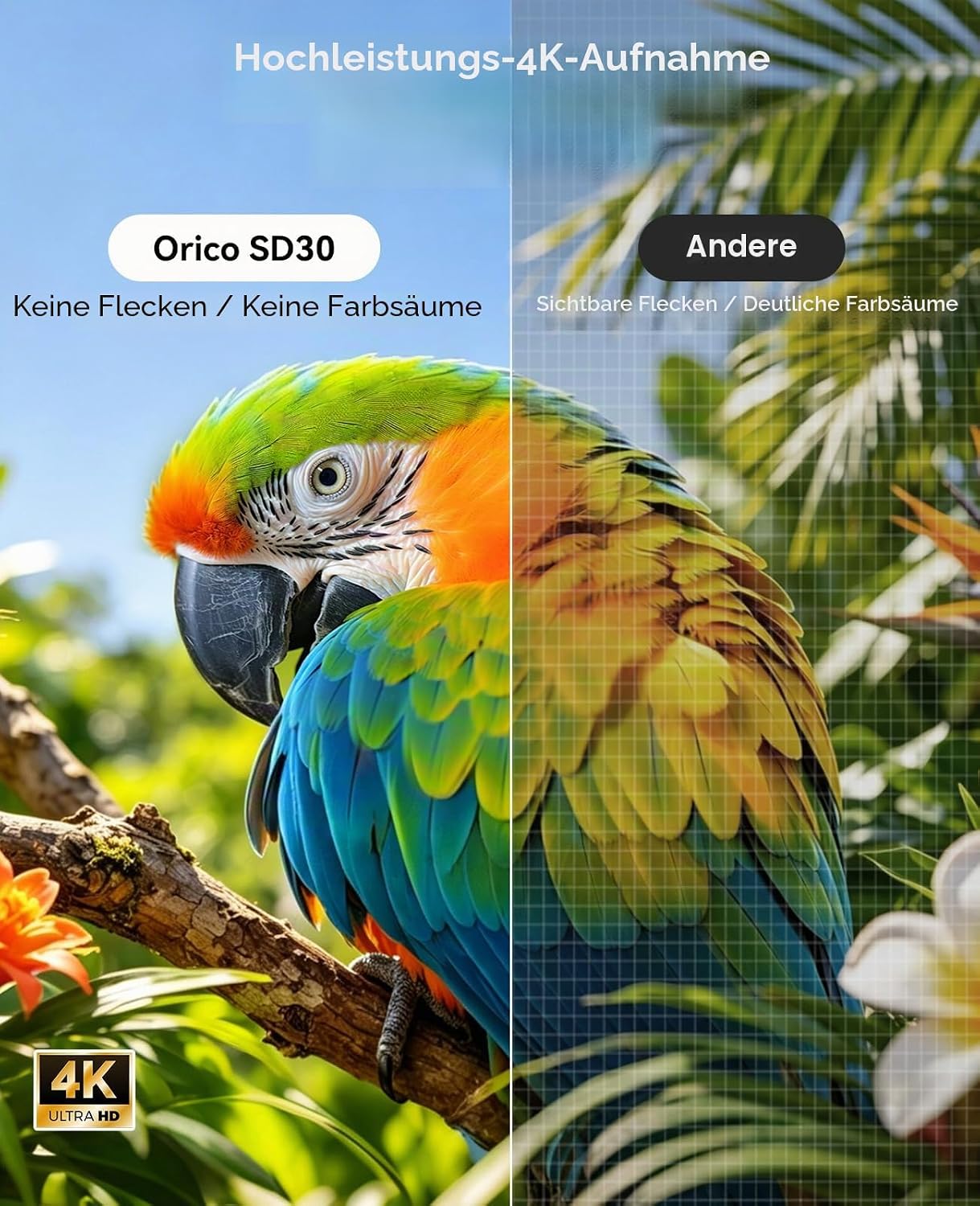Detalle de ORICO SD Karte 256GB UHS-I, C10, U3, V30 – robuste SDXC Speicherkarte für DSLR und spiegellose Kameras