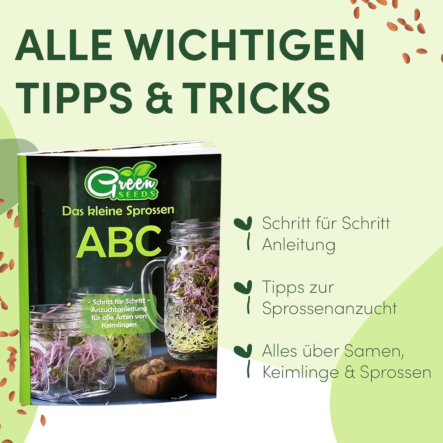 Thumbnail 2 de Green SEEDS Sprossenglas Set 3er + KRESSESIEB