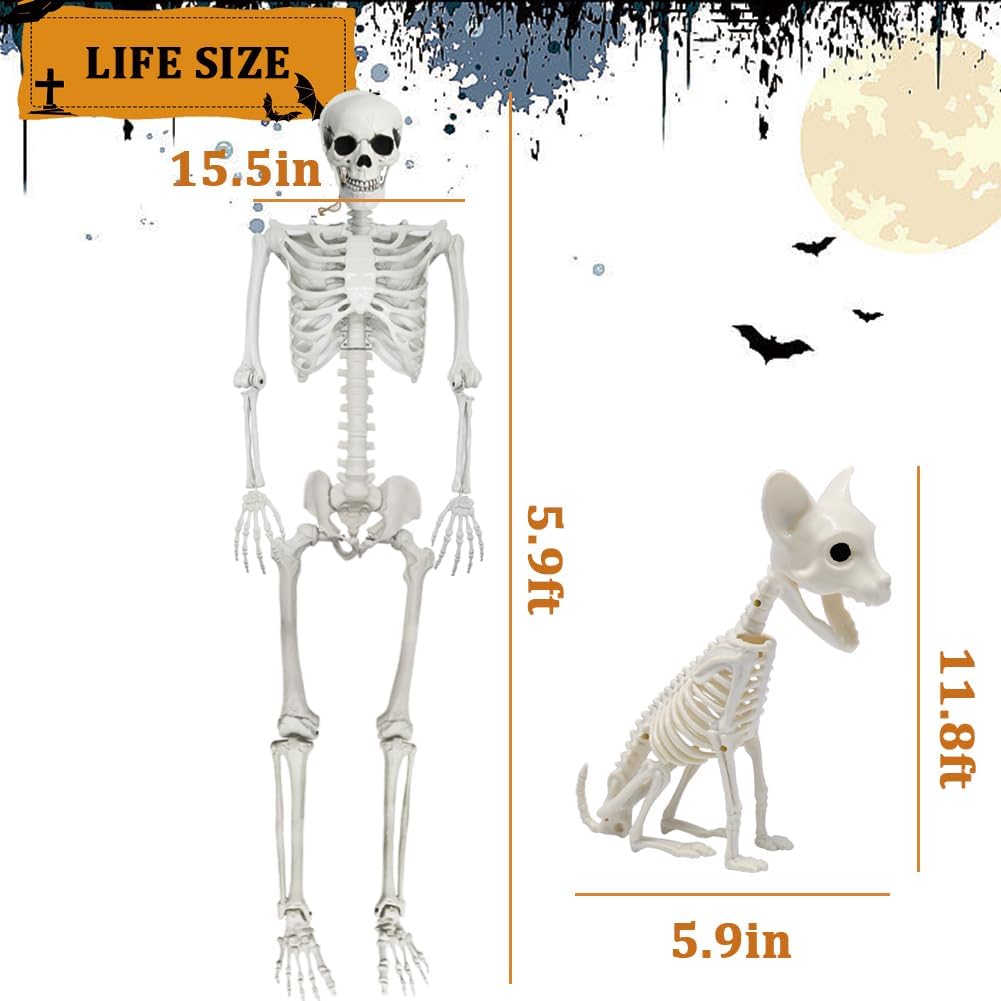 Detalle de WODMAZ WSJZFH-165 Halloween Skeleton with Cat, 5.9-Ft Poseable Plastic Decor