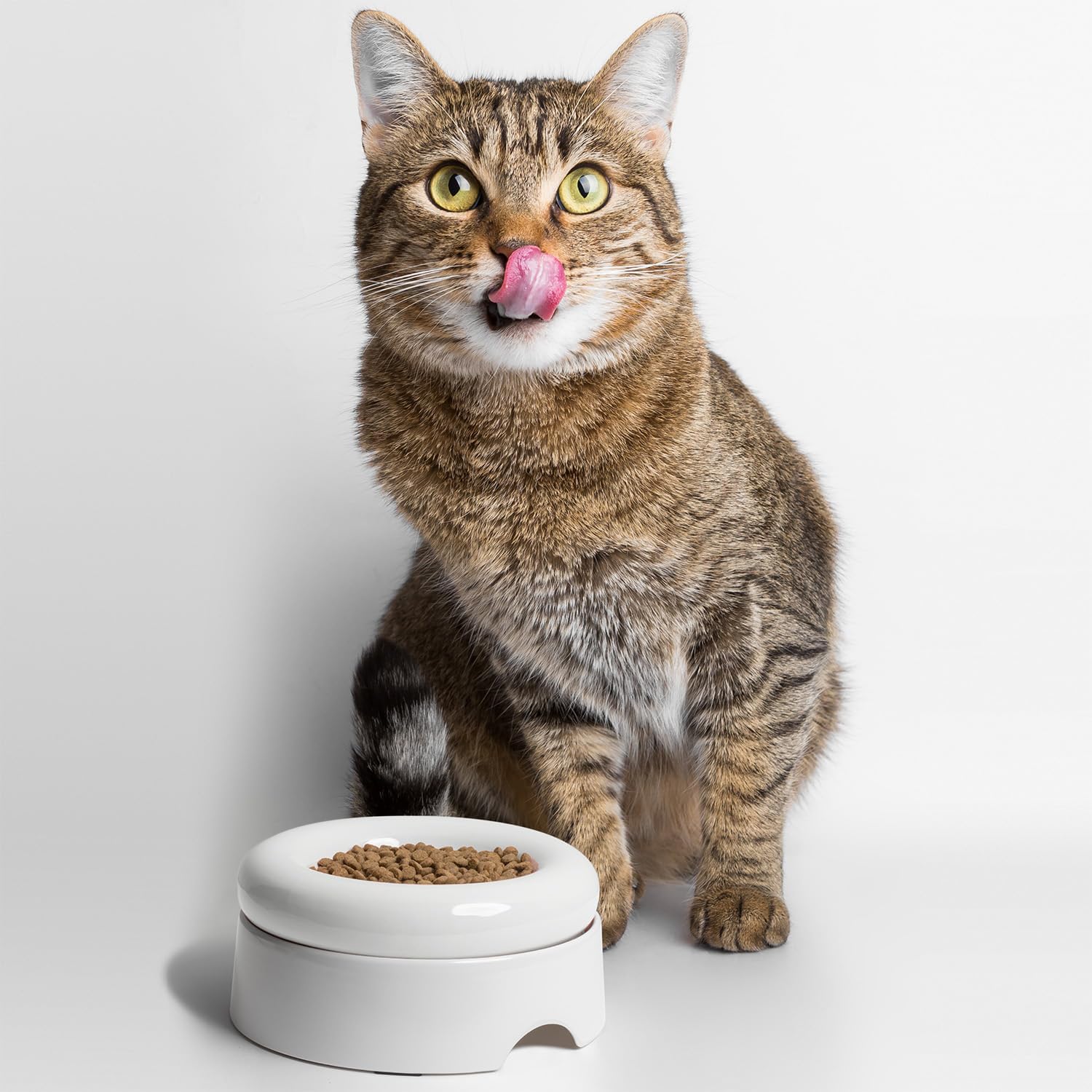 Thumbnail 5 de CatGuru Torus – zestaw dwóch płytkich misek ceramicznych dla kota, różowy
