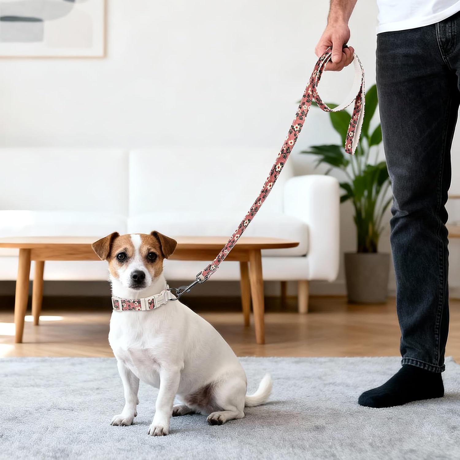 Detalle 2 de Playexen halsband- en riemset voor puppy’s, verstelbaar van 25 tot 40 cm, beige