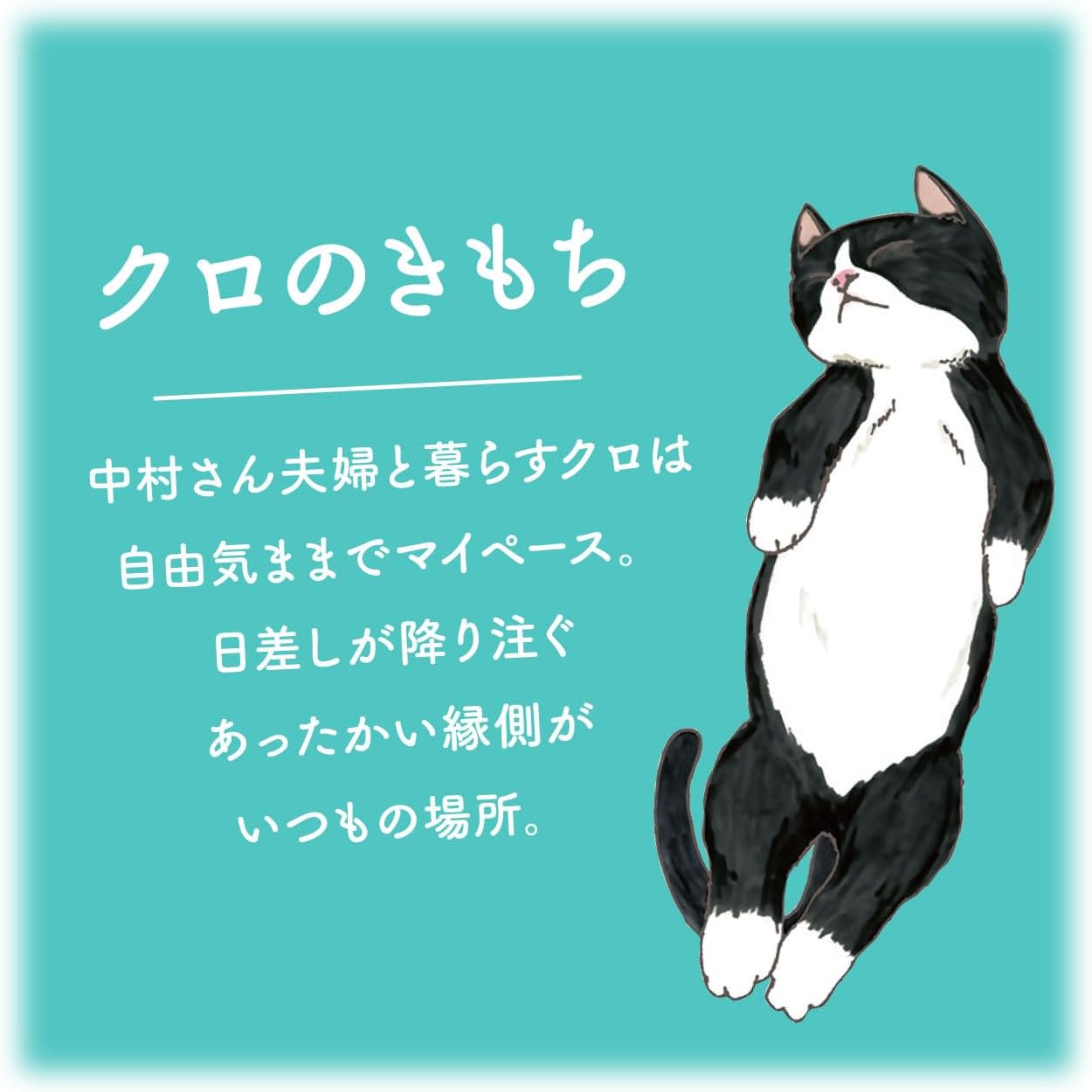 Detalle 2 de GPP+ ニャンわり蒸気のぐぅたらホットアイマスク クロのきもち 5枚入り 陽だまりコットンの香り
