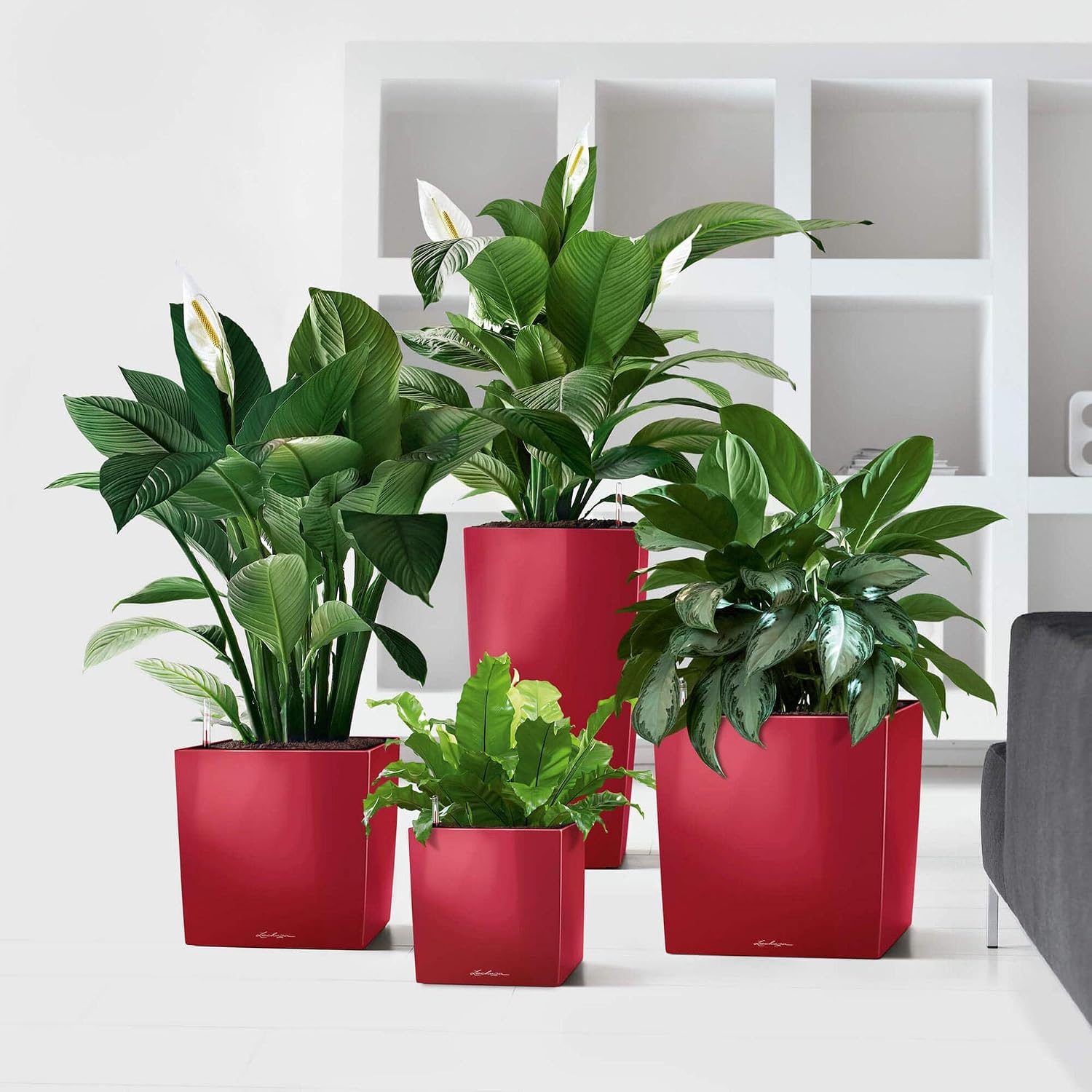 Detalle de LECHUZA CUBE Premium 30 rosso scarlatto lucido 16467 – vaso auto-irrigante elegante e funzionale