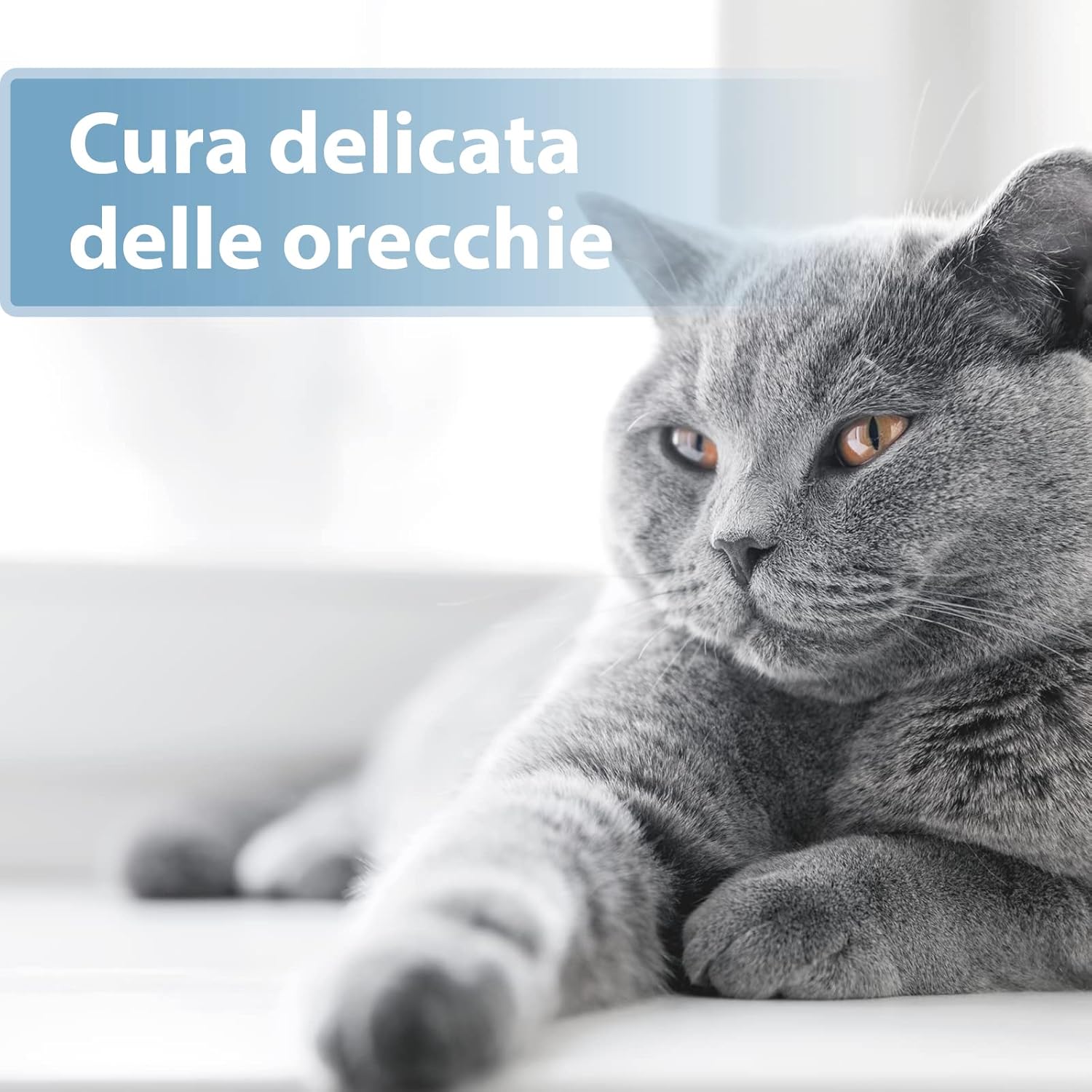Detalle 2 de Felisept Salviette Da Dito per la Cura delle Orecchie per Gatti – 50 Pezzo