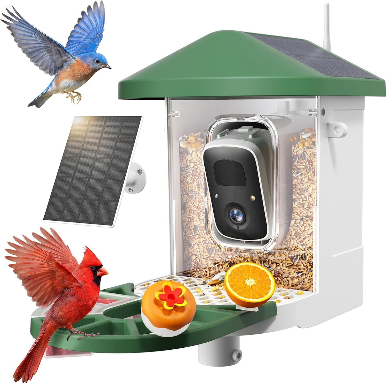 Detalle de HARYMOR Smart Bird Feeder with Camera, 1.5L Capacity