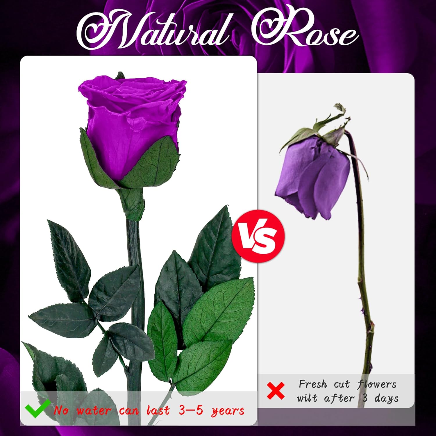 Thumbnail 3 de Infinity Rose in Geschenkbox Lila