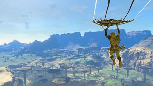 Detalle de The Legend of Zelda : Tears of the Kingdom – Nintendo Switch 2 Edition