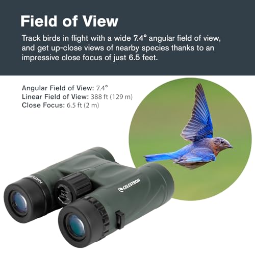 Thumbnail 4 de Celestron 71330 Nature DX 8x32 jumelles BaK-4 vertes đź”