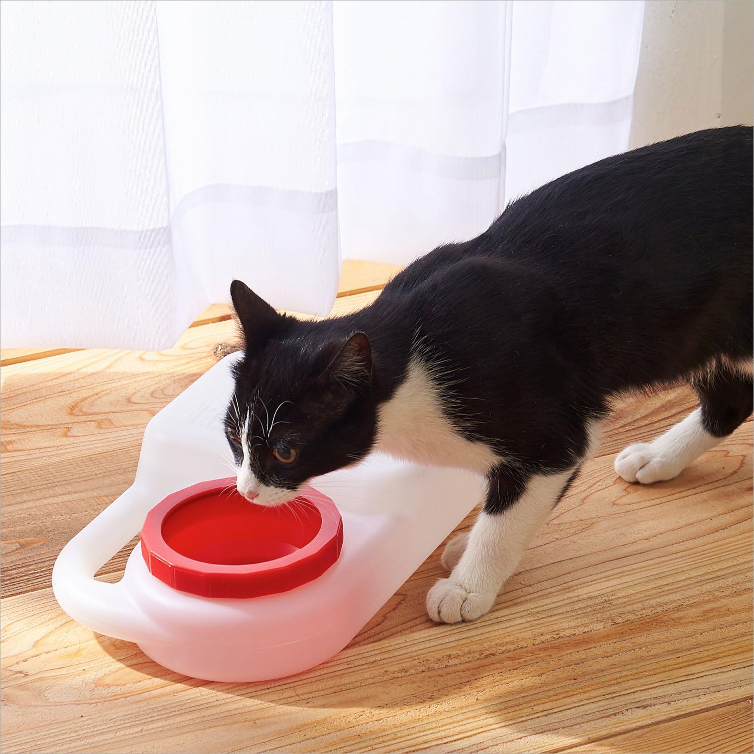 Detalle de オーエフティー ブリングウォーター ペット用給水器 2.5L、飛び散りを抑える設計・活性炭フィルター付き