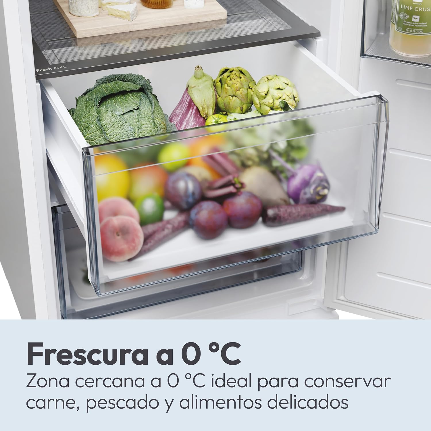Detalle 1 de CANDY City Fresco 280L Total No Frost