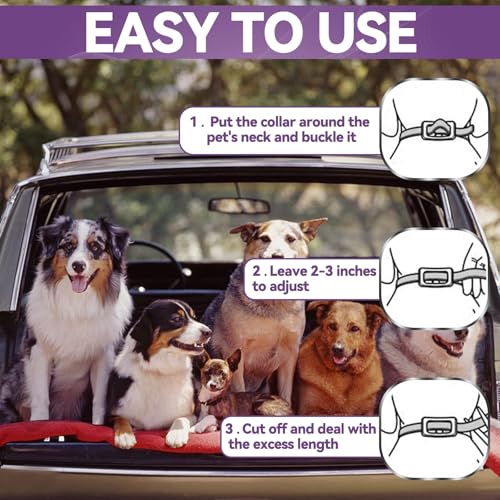 Detalle de Collar antiparasitario para perros Inpumo: protección natural de 12 meses, impermeable y ajustable