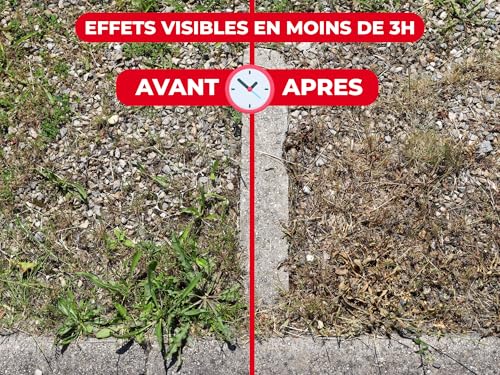 Thumbnail 5 de PROTECT EXPERT Désherbant Ultra Concentré Polyvalent – 400 ml, couvre jusqu’à 355 m²