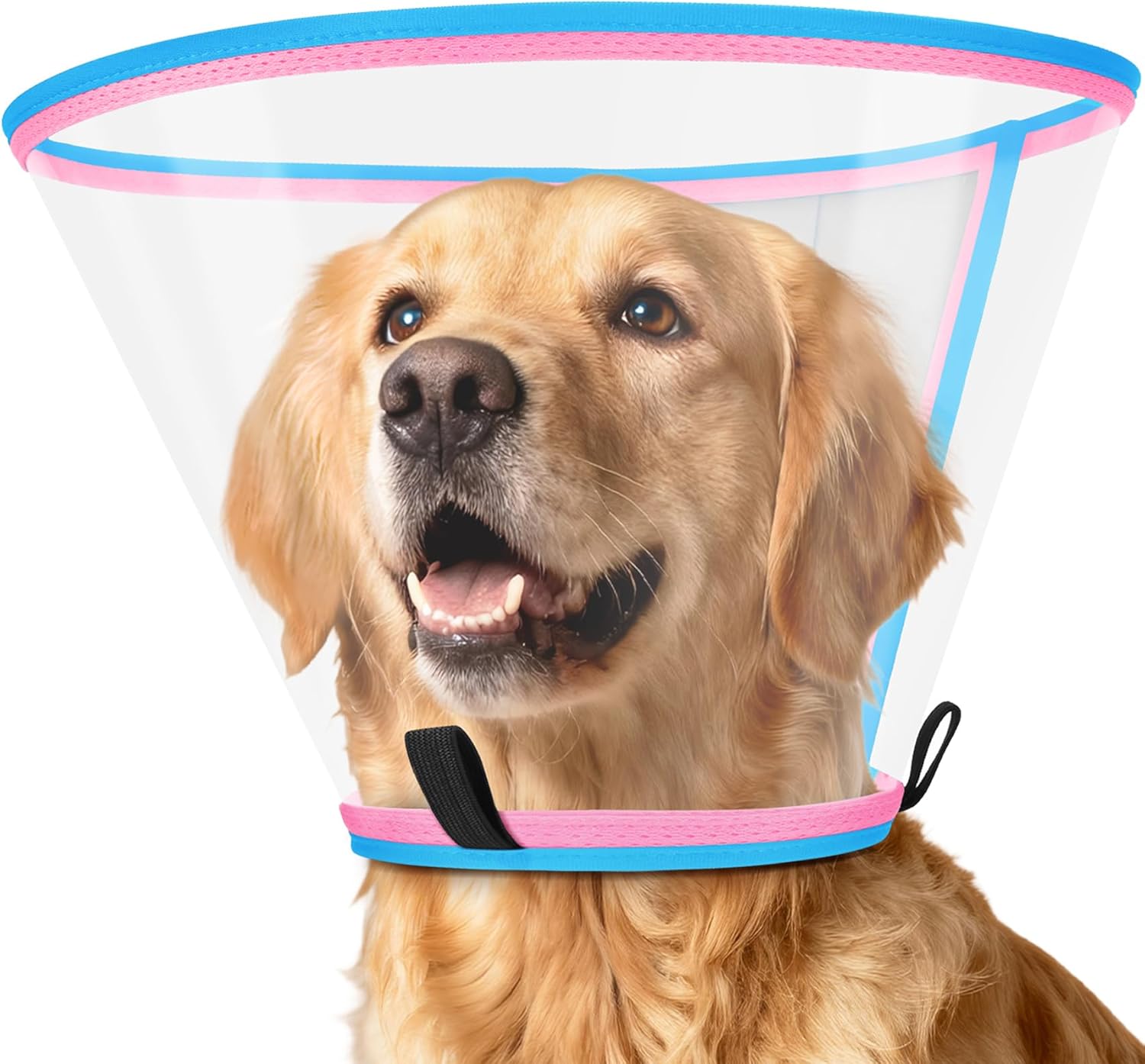 Thumbnail 6 de Halskrause Hund Weich – Transparenter Schutzkragen aus Kunststoff (Größe 4, Blau)