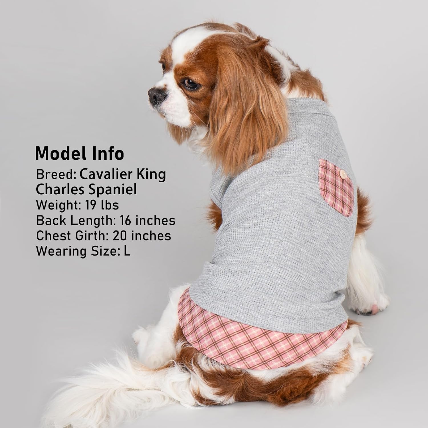 Detalle 1 de KYEESE Dog Shirt, Medium