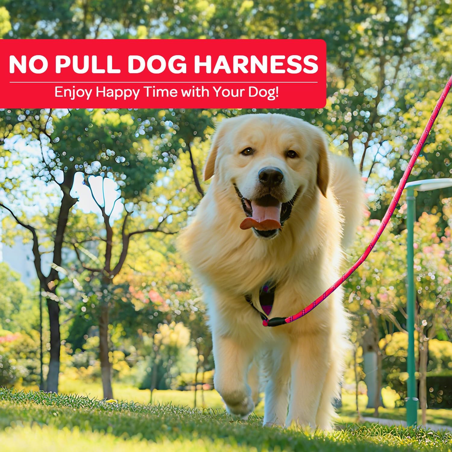 Thumbnail 6 de Harnais pour Chien anti-tirage Reflet Oxford – ajustable et confortable