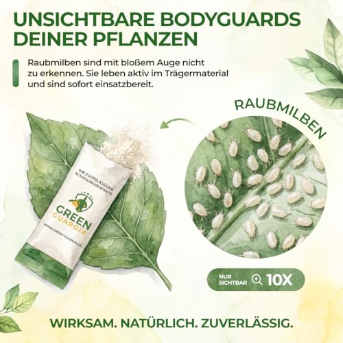 Thumbnail 6 de GREEN GUARDIA Power Raubmilben gegen Thripse – 15x Tüten
