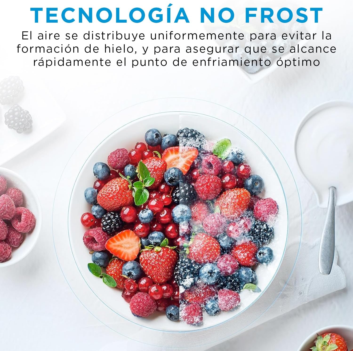 Detalle 2 de MIDEA Frigorífico Combi No Frost 270L Inox 🍏