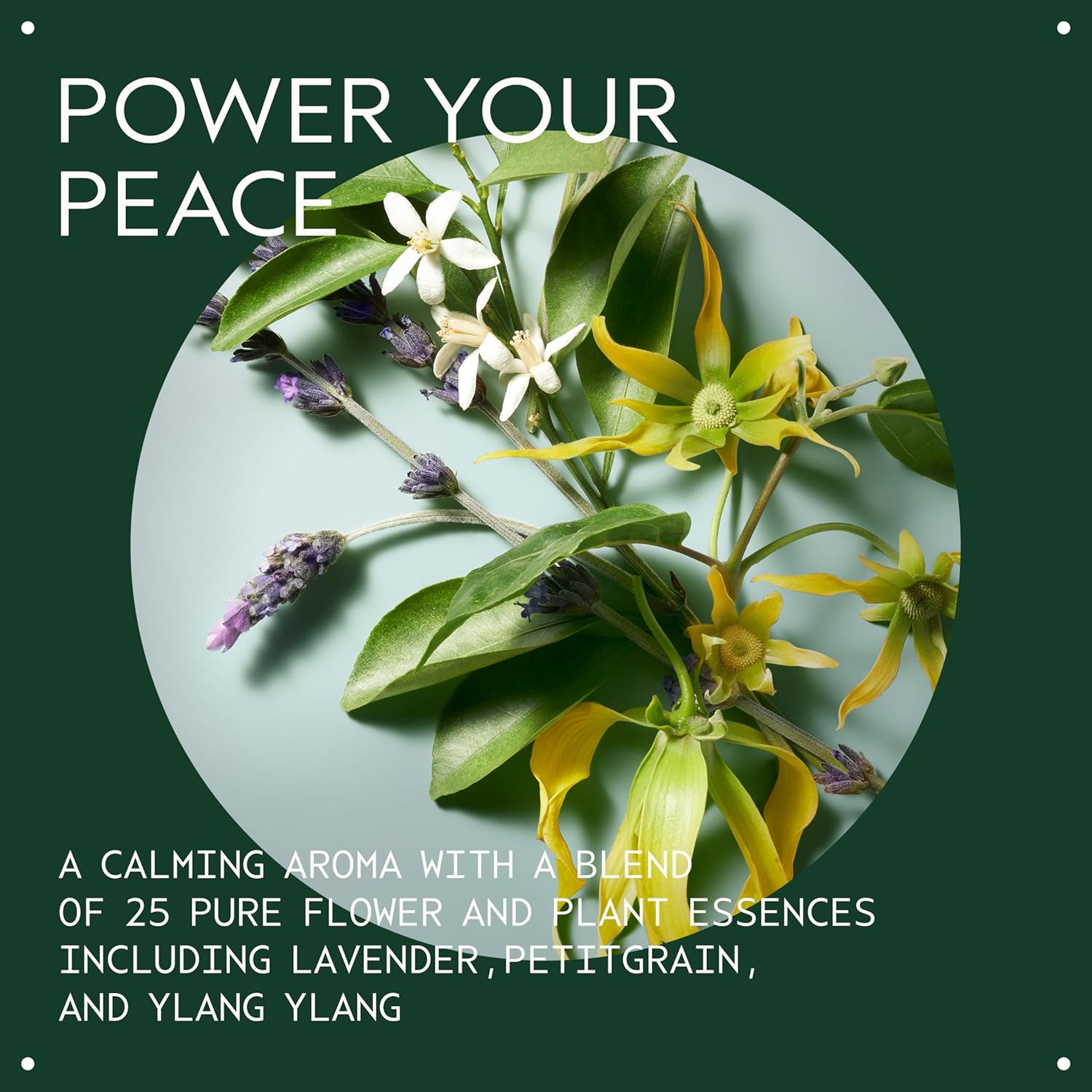 Thumbnail 2 de Aveda Shampure Nurturing Conditioner for Fine to Medium Hair (Lightweight, Silicone Free, 98% Naturally Derived)