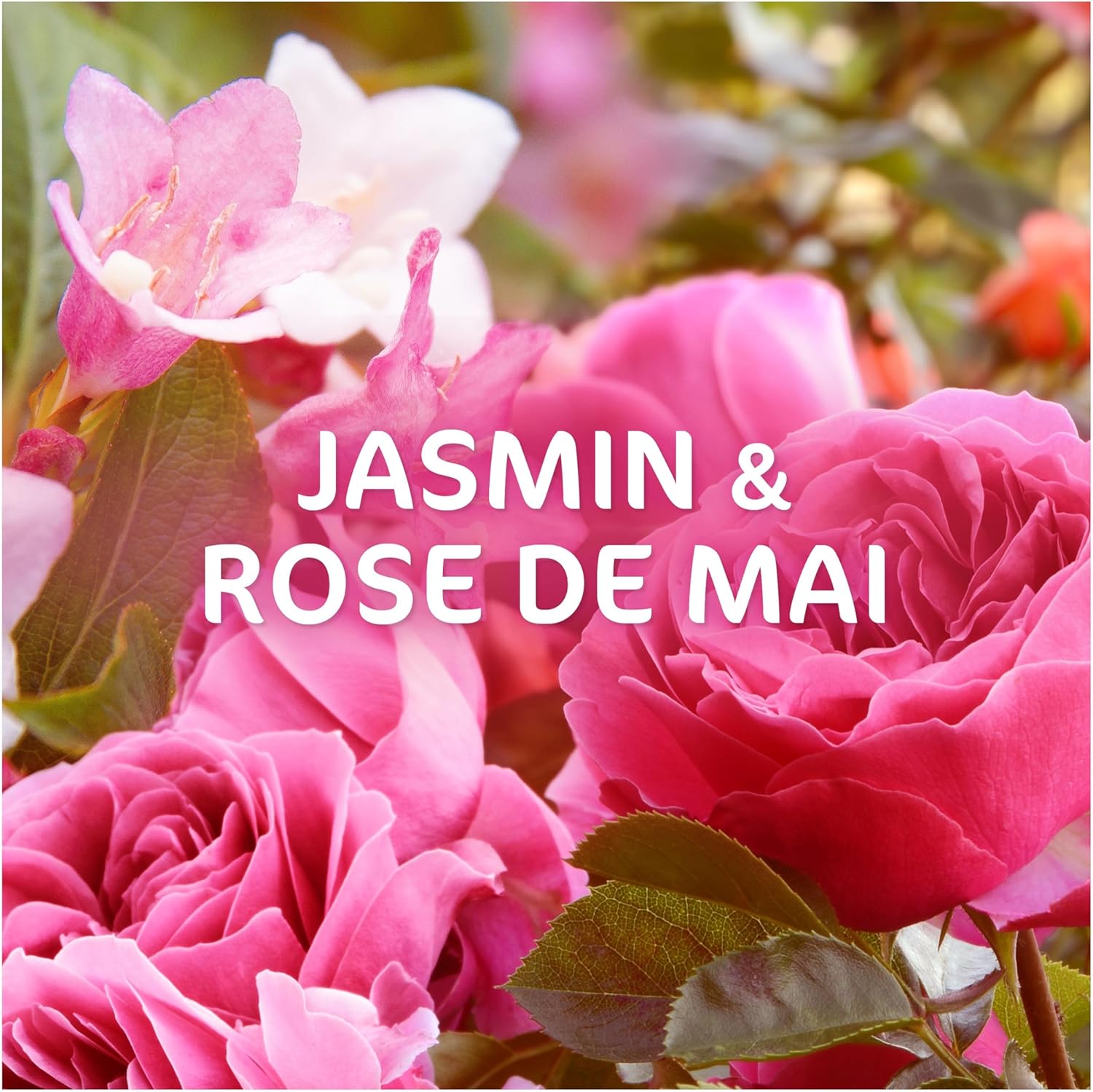 Thumbnail 6 de Dash 2en1 PODS Jasmin et Rose de Mai 50 lavages lessive