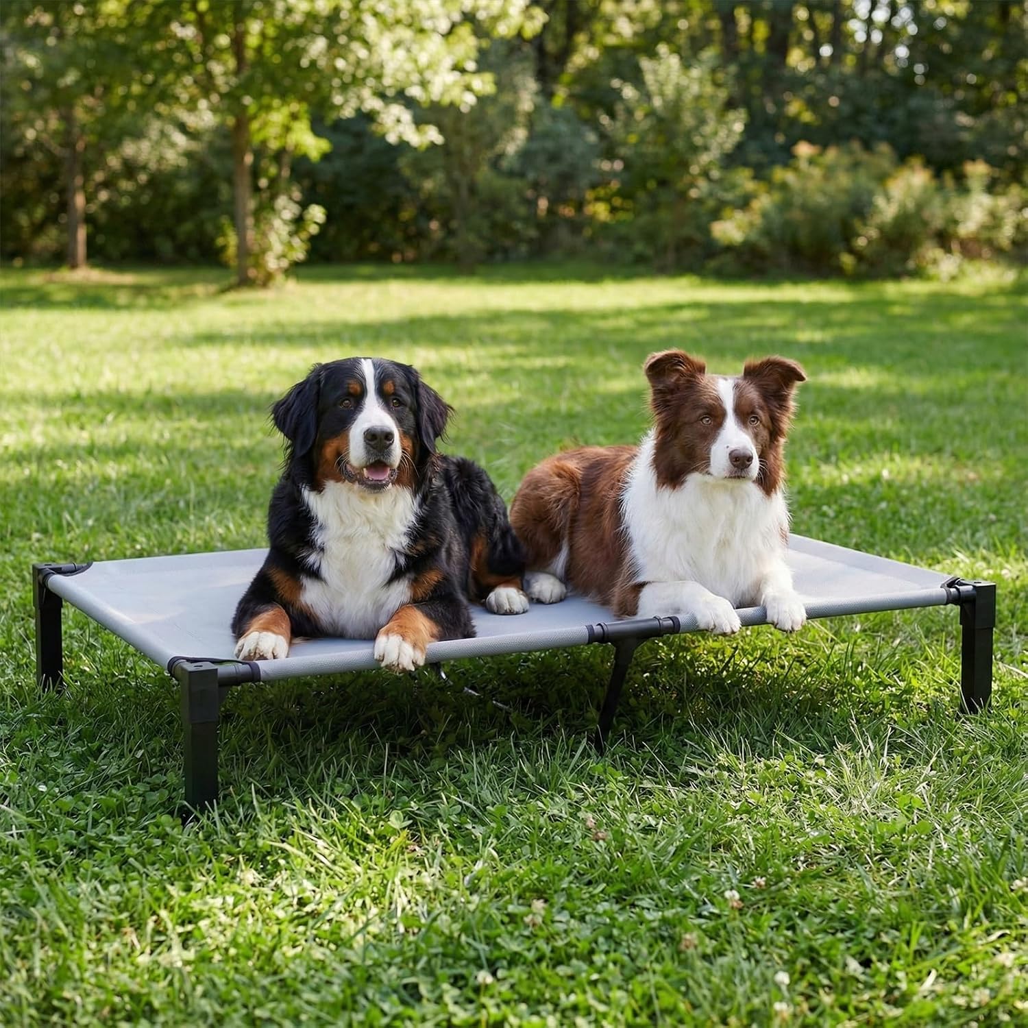 Detalle de Niubya Elevated Dog Bed for XXL Breeds (Bernese Mountain Dog & Alaskan Malamute) – 152x92x24 cm