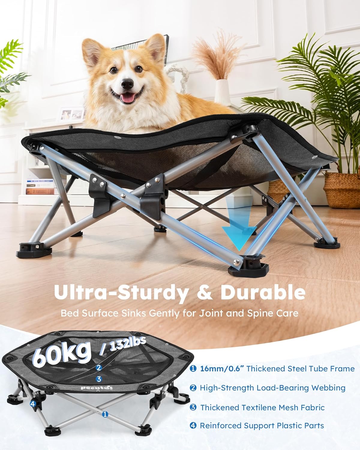Detalle de pecute Outdoor Hundeliege erhöht mit Kühlmatte – Selbstkühlend, faltbar, stabil und vielseitig einsetzbar