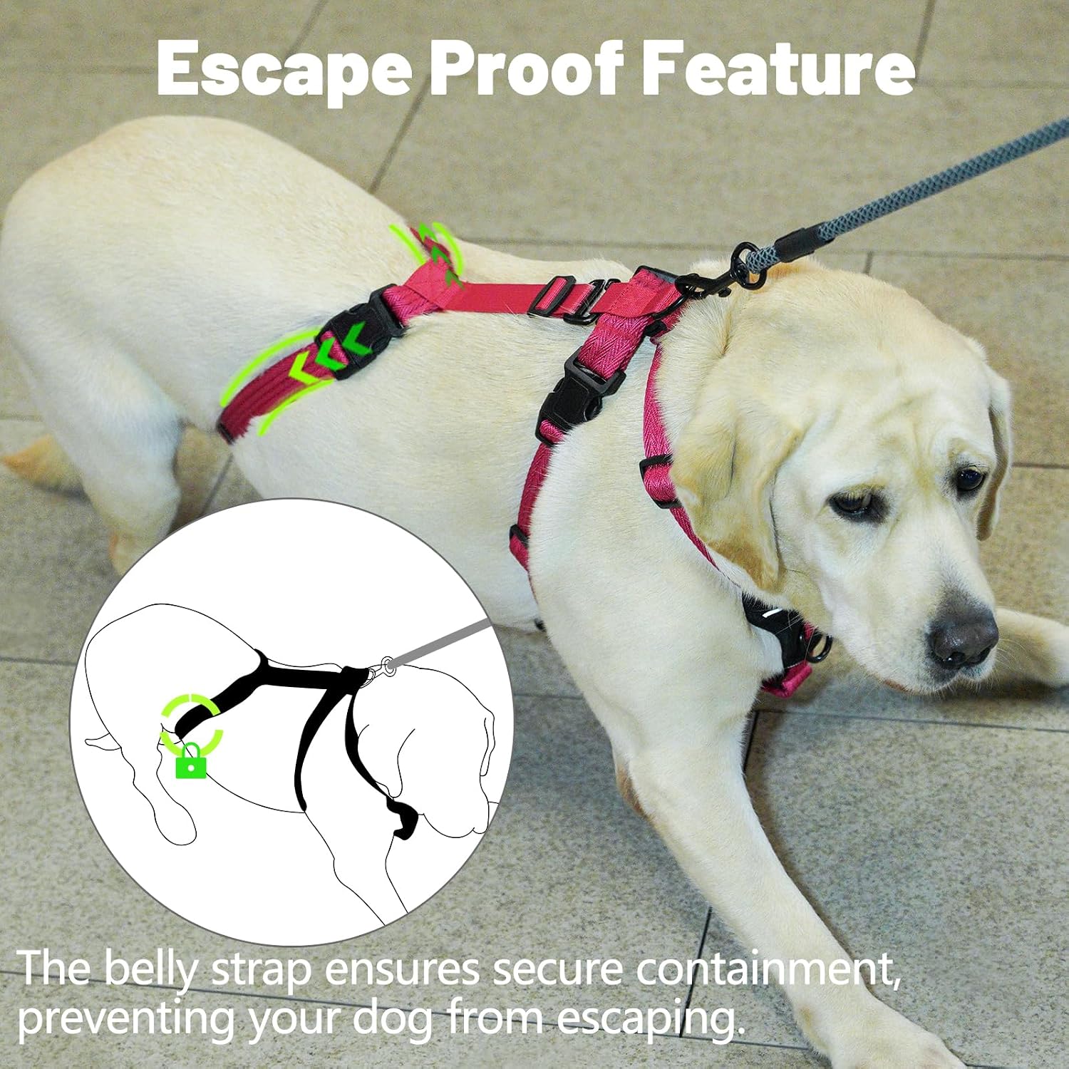 Detalle de Paworld Escape Proof Dog Harness (XL) – 3-Point Greyhound Harness with Front Clip for Whippet and Large Breeds