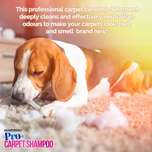 Thumbnail 1 de Pro-Kleen Pro+ Carpet Shampoo and Upholstery Cleaning Solution – 5L Spring Bloom