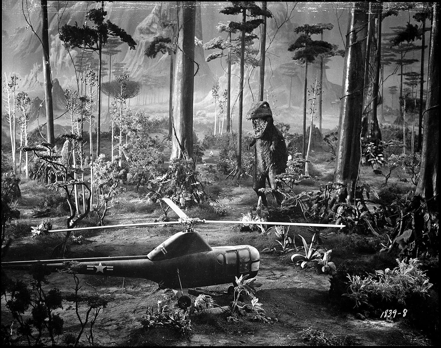 Thumbnail 3 de Elephant Films L'Oasis des tempêtes 📀