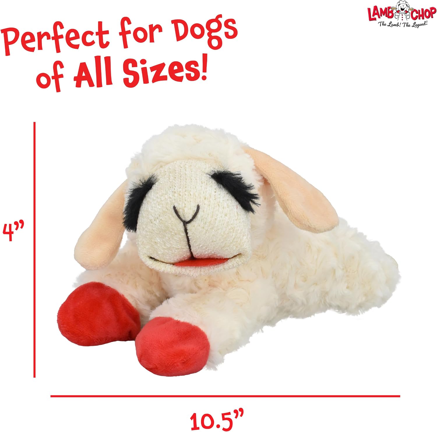 Detalle 2 de Multipet Lamb Chop Dog Plush Toy — 10” Cream Squeaky Plush for Small & Medium Dogs