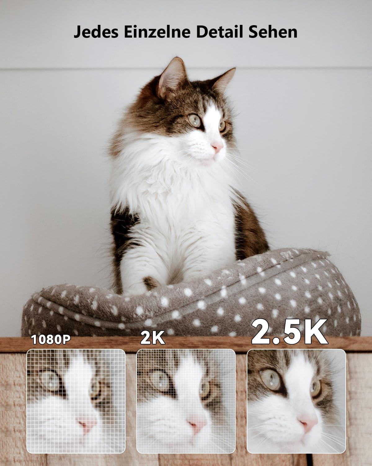 Thumbnail 1 de Imou Ranger 2C 4MP Telecamera Wi‑Fi 360°