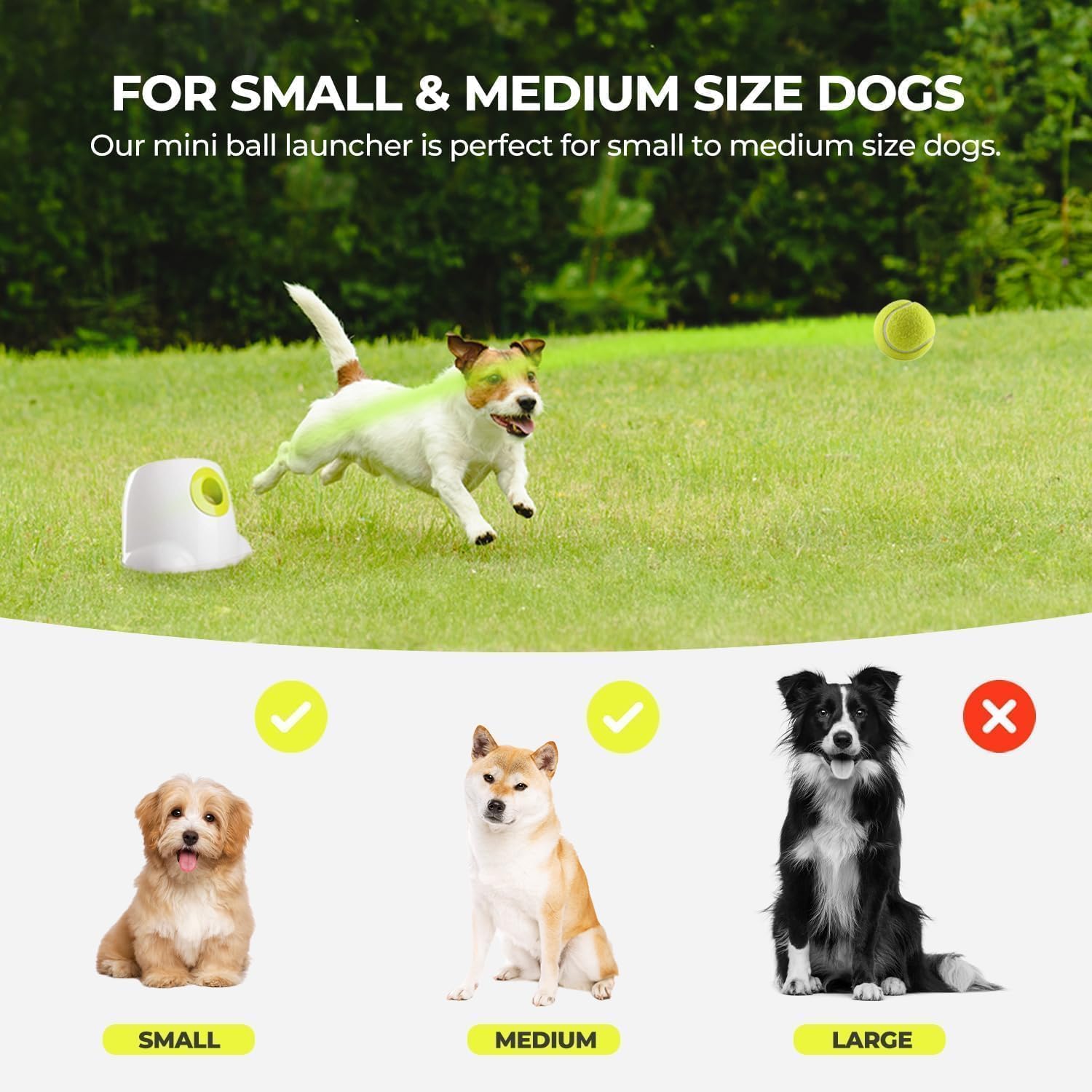 Thumbnail 4 de ALL FOR PAWS Automatic Dog Ball Launcher 2"