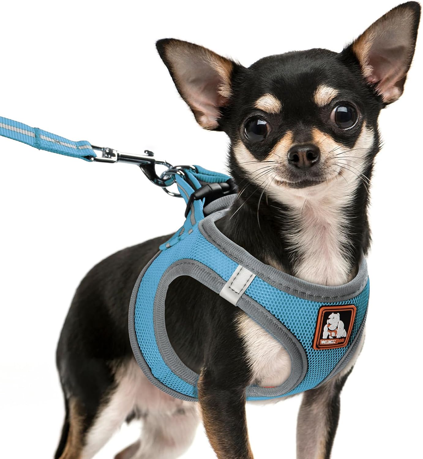 Detalle de Dog Harness and Leash Set, Size S