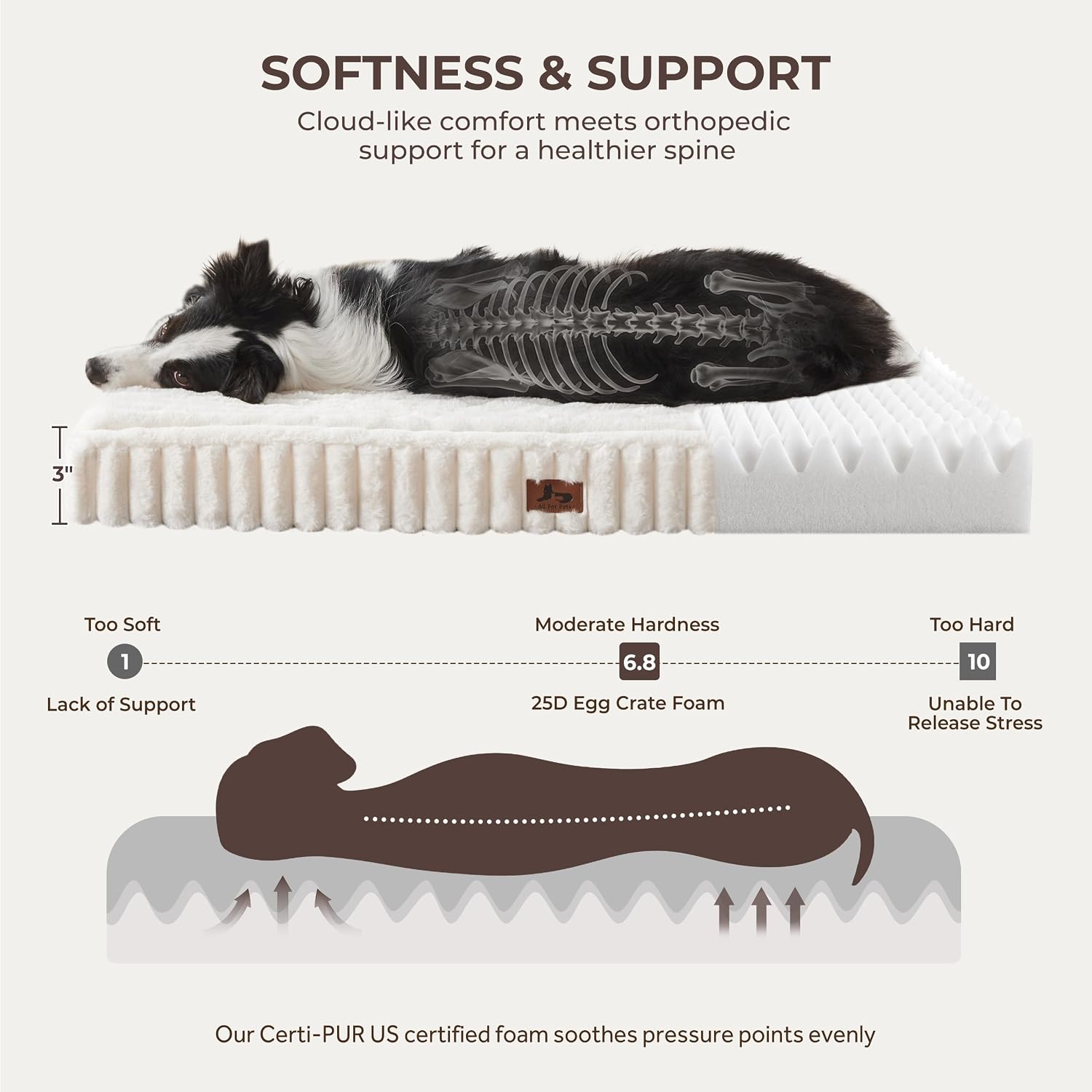 Detalle 2 de Warmrest WR-PET12 Orthopedic Dog Bed, 36 x 27 x 3-Inch Egg-Crate Foam, Cream