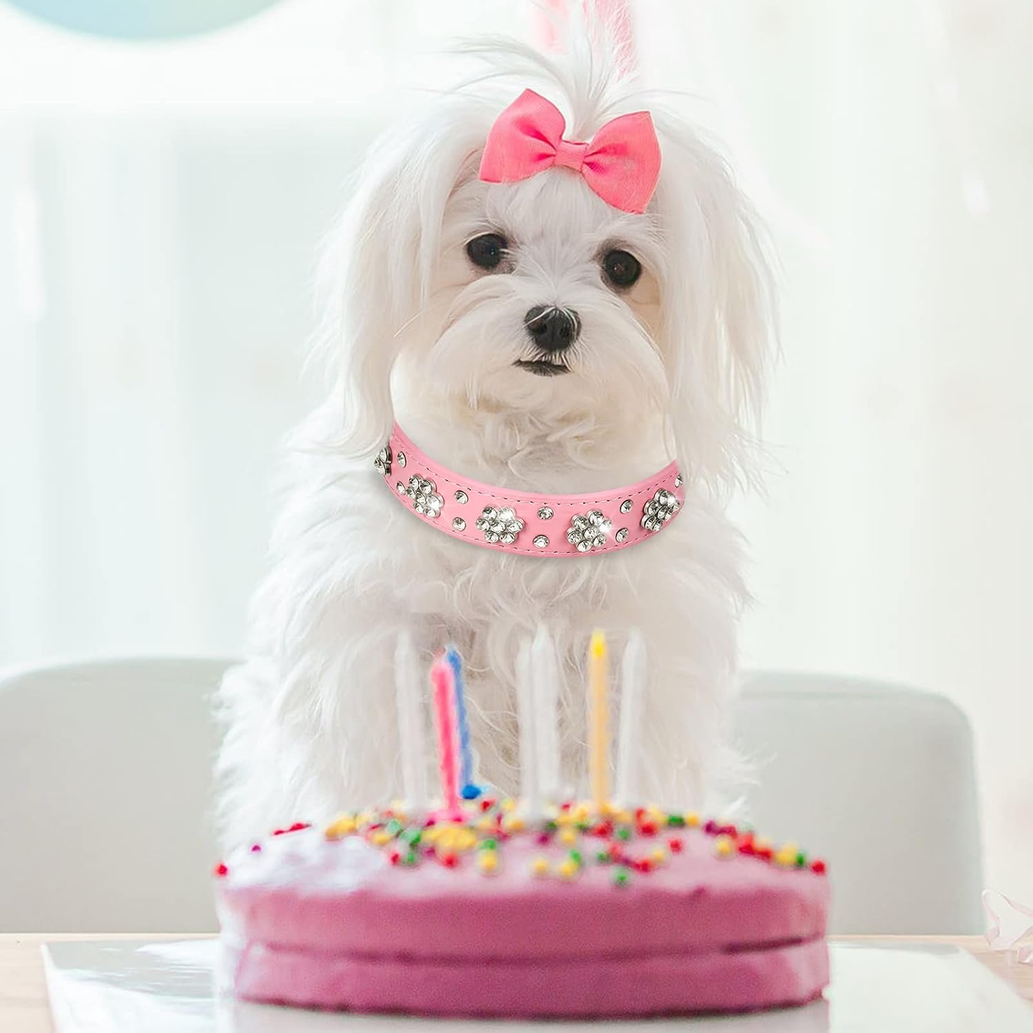 Thumbnail 1 de Hotlion Bling Diamond Dog Collar S