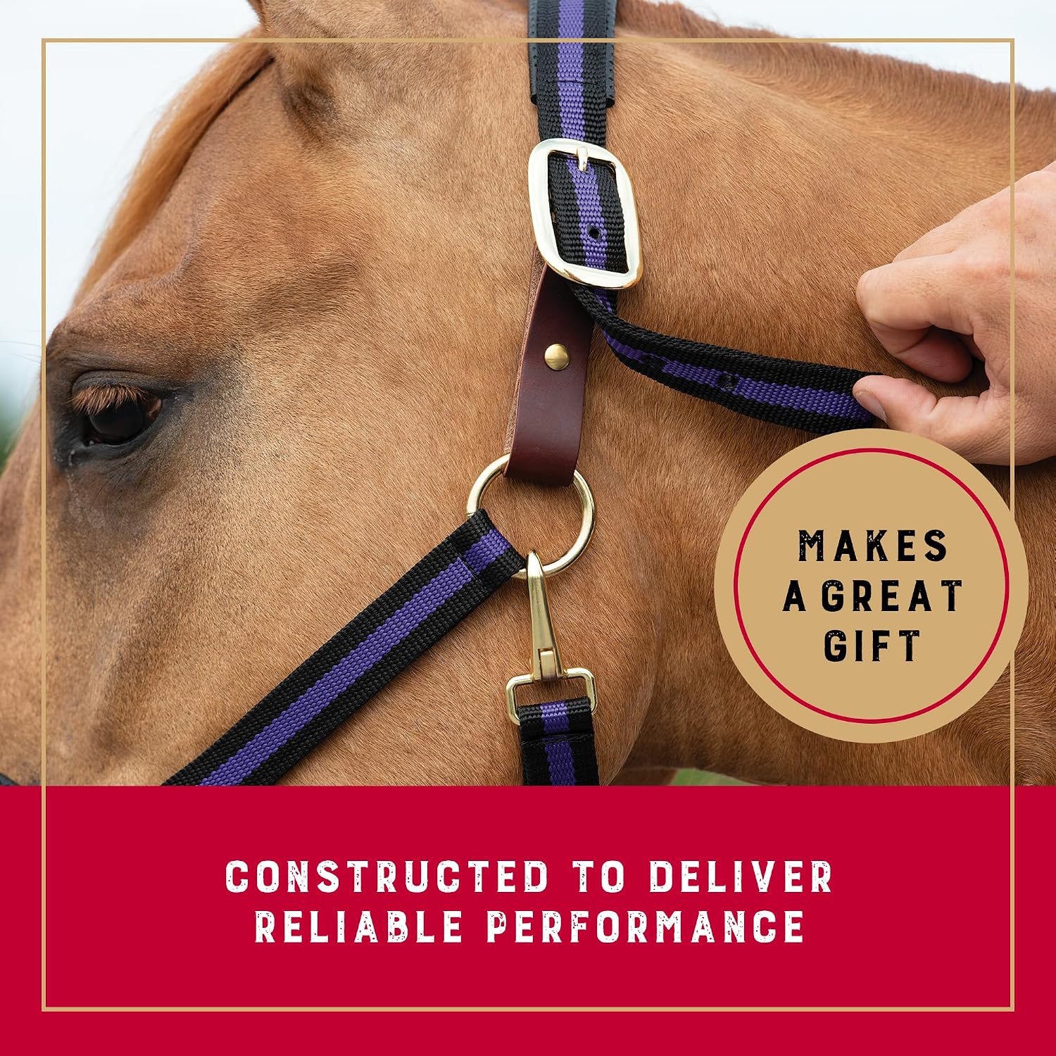 Detalle 2 de Weaver Leather Equine Breakaway – zrywalny kantar dla konia, średni, fioletowy