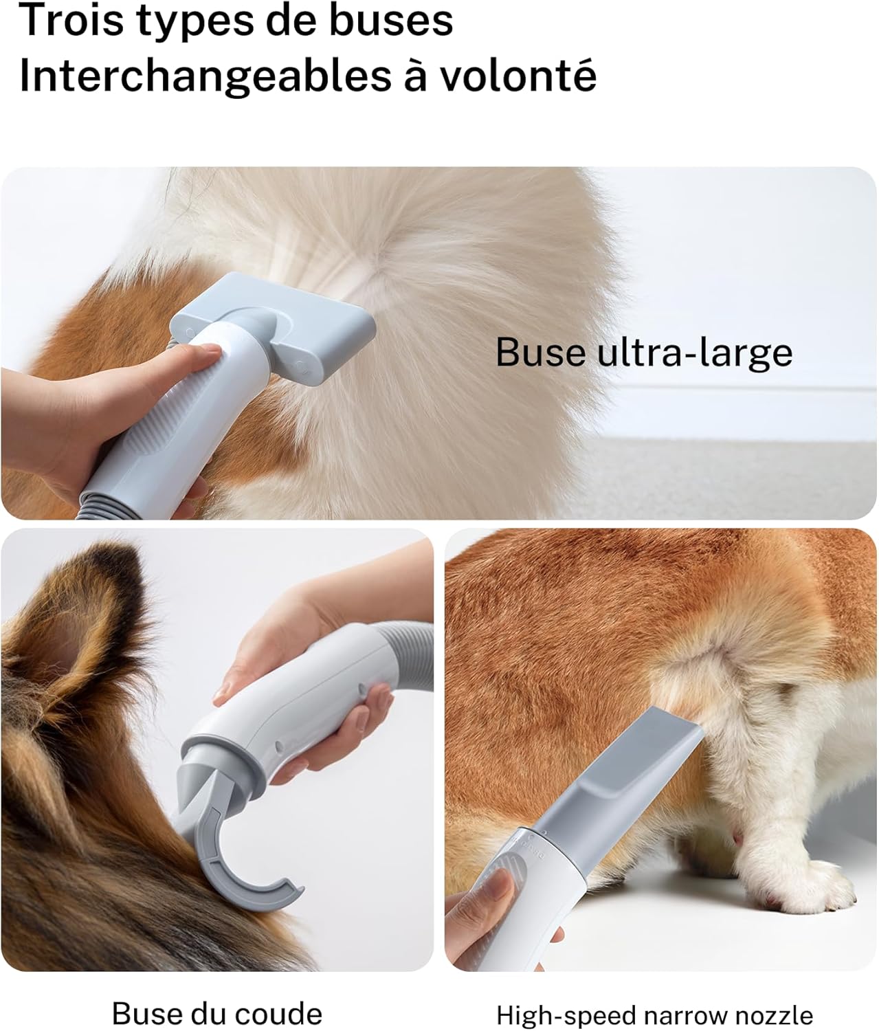 Thumbnail 4 de HomeRunPet Pulseur pour chien silencieux 43 dB : sèche-cheveux professionnel avec 3 buses