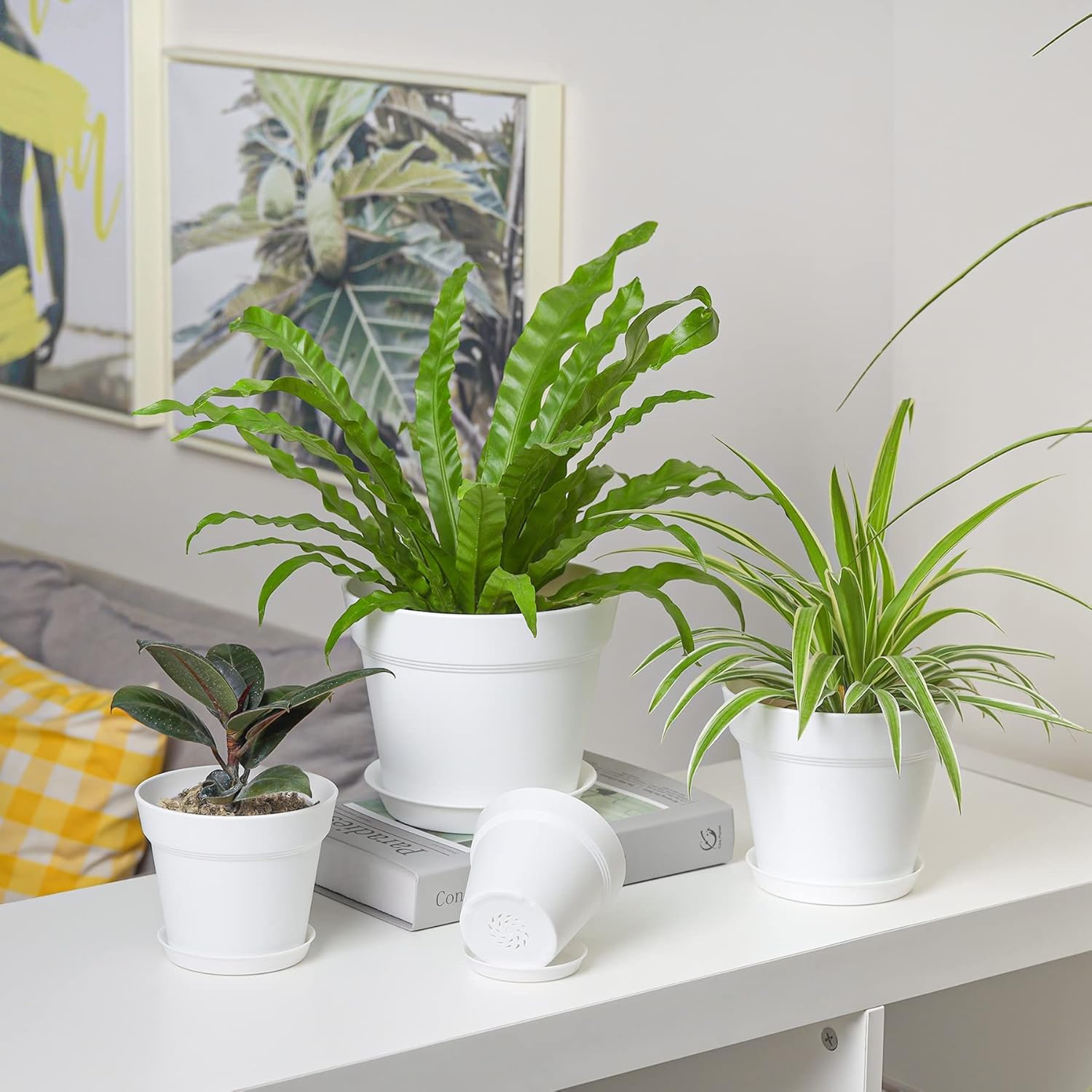 Thumbnail 6 de T4U 12.5cm plastic plant pots 6-pack
