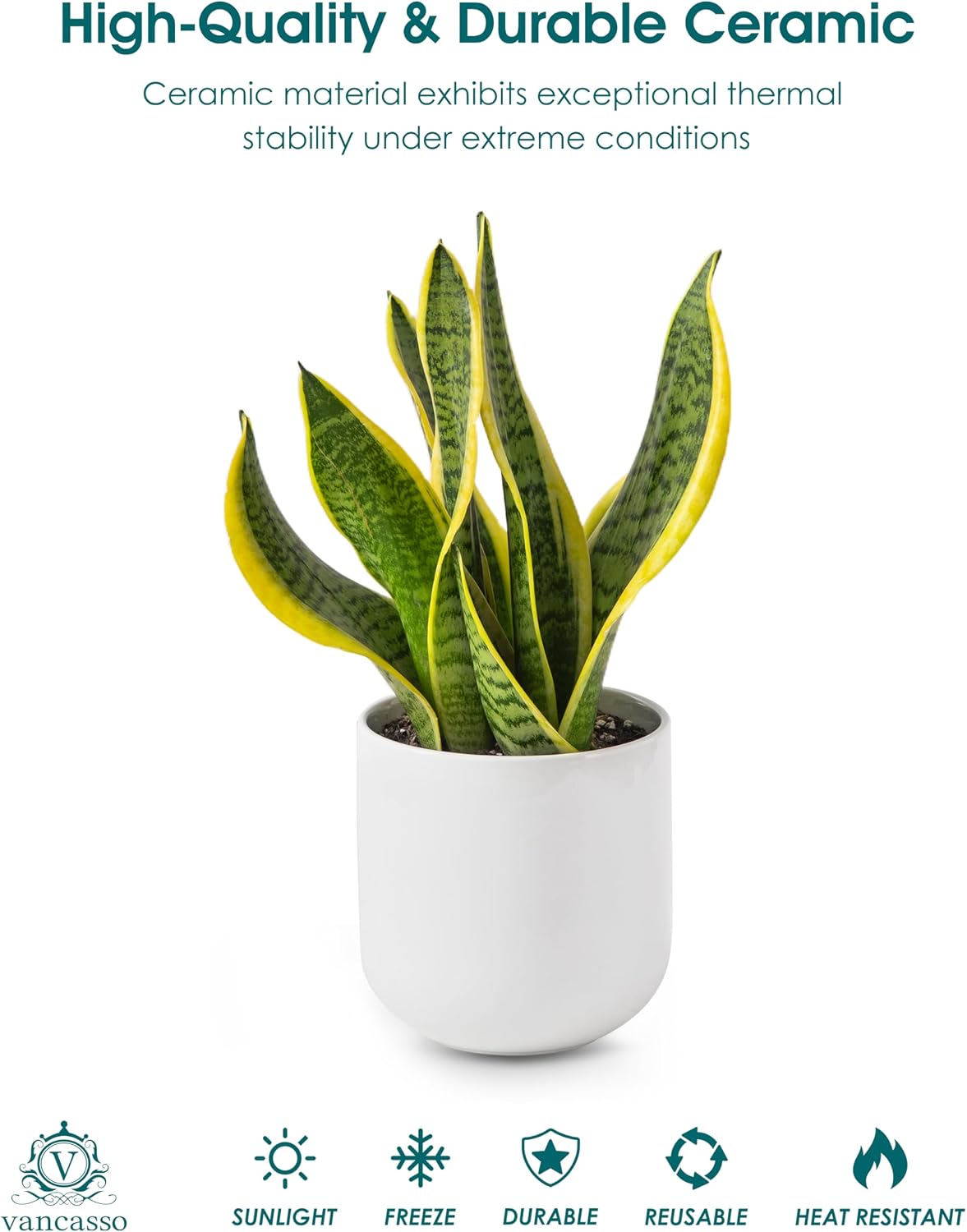 Detalle 2 de Vancasso Ceramic Planter, 6-Inch